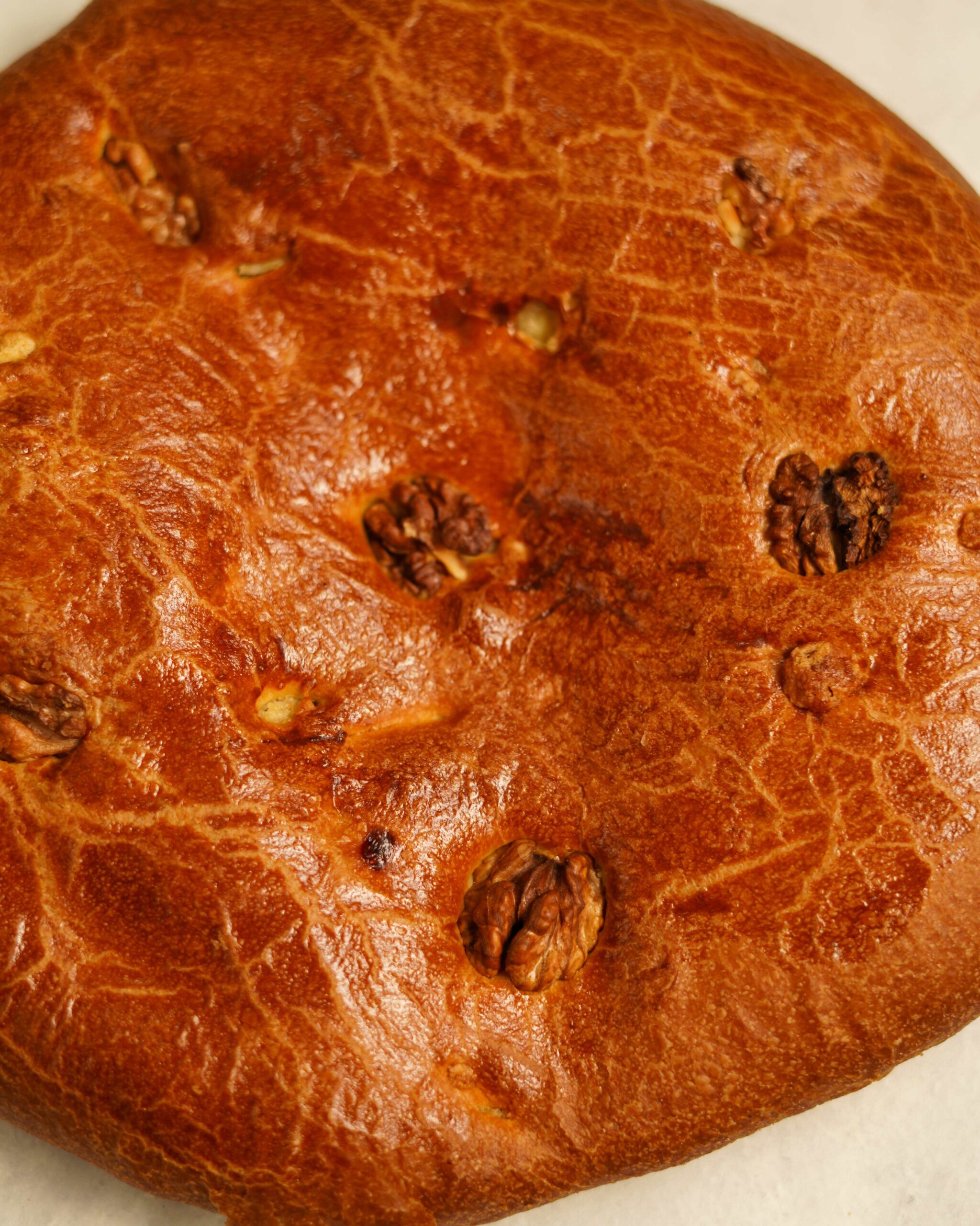 گاتا گردویی